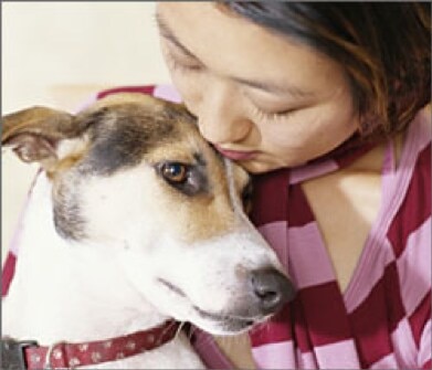 perro comiendo demasiado rápido mujer sujetando un perro con collar rojo