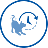 ícono de gato y reloj