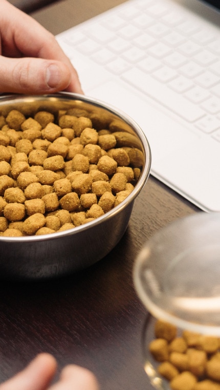 Hill's Pet researcher testing different kibble size