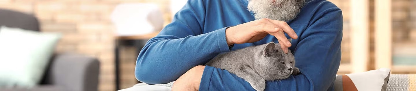 Hombre mayor acariciando a un gato gris en sus brazos como parte del cuidado felino