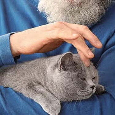 Hombre mayor acariciando a un gato gris en sus brazos como parte del cuidado felino