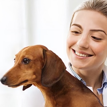 Una veterinaria sonriente sostiene a un perro salchicha en su consultorio