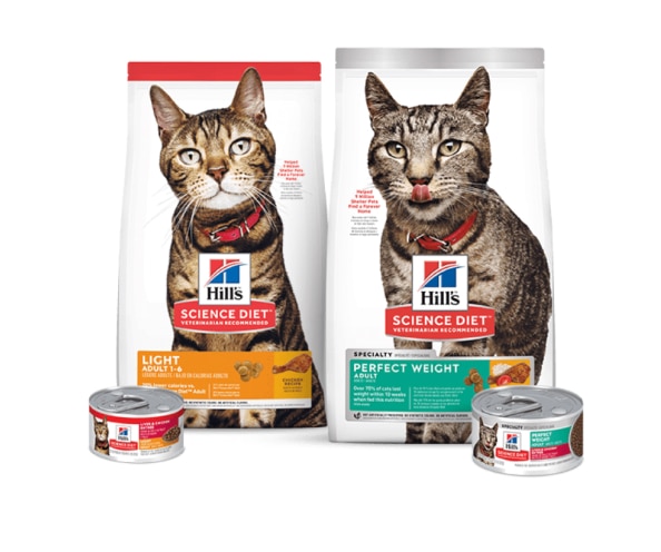 Alimento para gatos Science Light y de peso perfecto