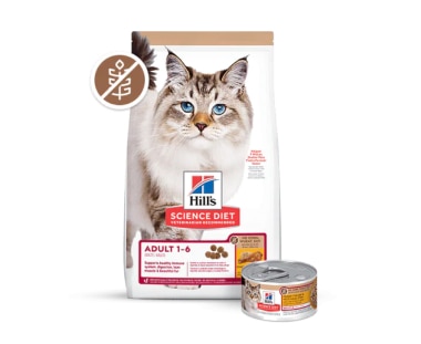 Alimento para gatos Science Light y de peso perfecto