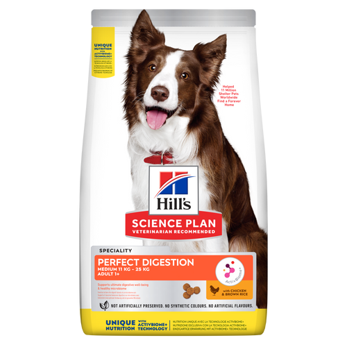 Perro mirando el comedero desde el suelo