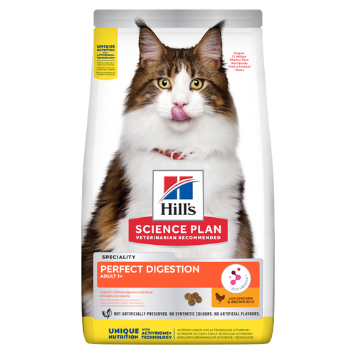 Perro mirando el comedero desde el suelo